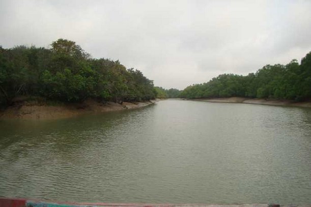 Bhitarkanika National Park
