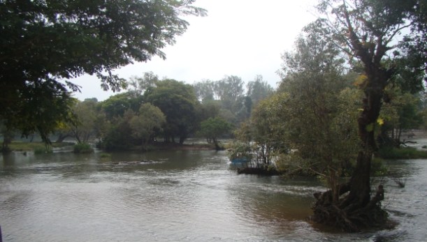 Dubare Elephant Resort, Coorg